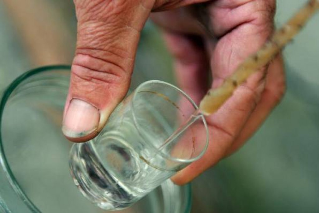 Upute za legalnu proizvodnju rakije