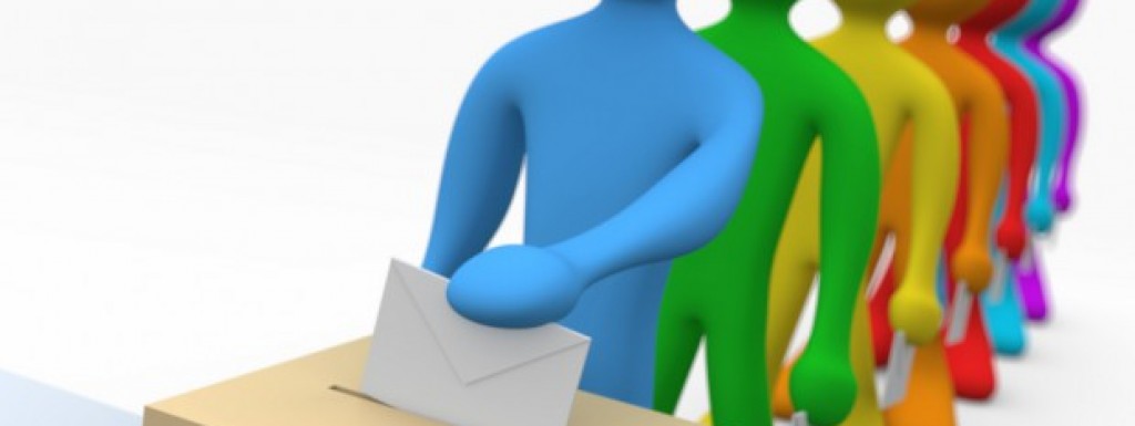 LOKALNI IZBORI 2013. OPĆINA NOVA KAPELA