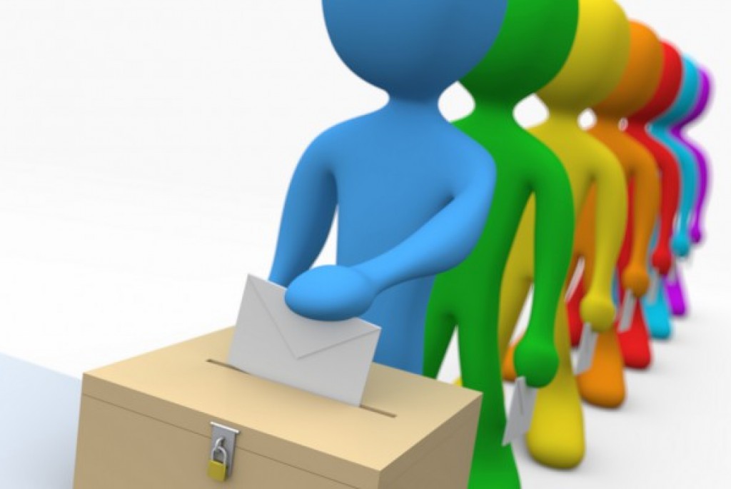 LOKALNI IZBORI 2013. OPĆINA NOVA KAPELA