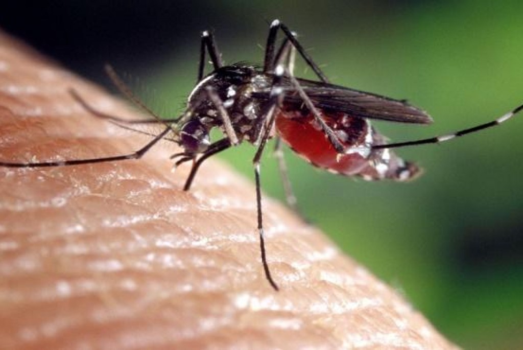II.  larvicidni tretman komaraca na području općine Nova Kapela dana 09.07.2019.
