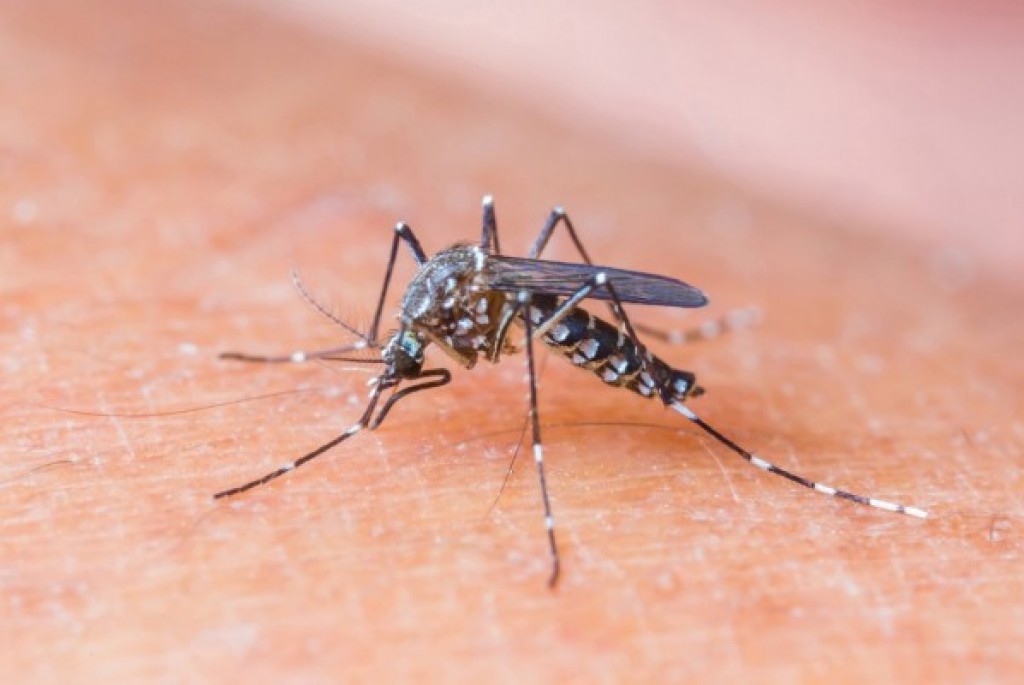 obavijest o adulticidnom tretmanu komaraca na području općine Nova Kapela 5.7.2019.u periodu od 20:00  do 22:00 sati