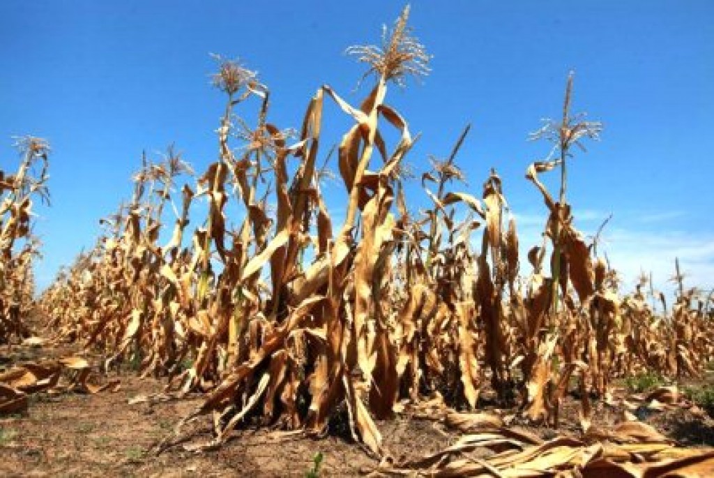 OBAVIJEST O PROGLAŠENJU ELEMENTARNE NEPOGODE