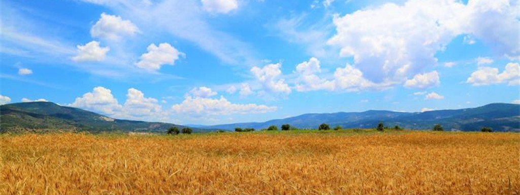 JAVNI NATJEČAJ za zakup poljoprivrednog zemljišta u vlasništvu Republike Hrvatske na području Općine Nova Kapela 20.9.2023.